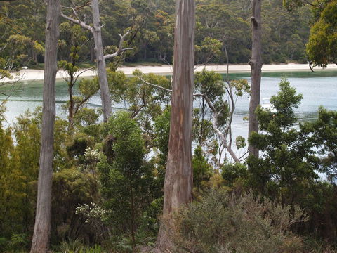Stewarts Bay Lodge - Accommodation ACT 23