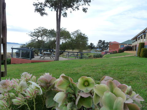 Swansea Motor Inn Tasmania - Accommodation ACT 17