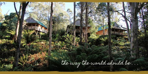 Lemonthyme Wilderness Retreat - Accommodation ACT 20