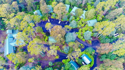 Lemonthyme Wilderness Retreat - Accommodation ACT 1