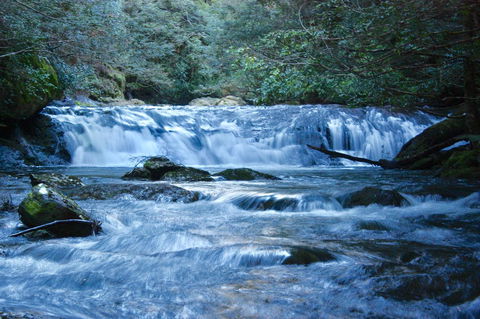 Lemonthyme Wilderness Retreat - Accommodation ACT 10