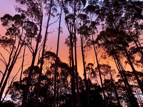 Lemonthyme Wilderness Retreat - Accommodation ACT 8