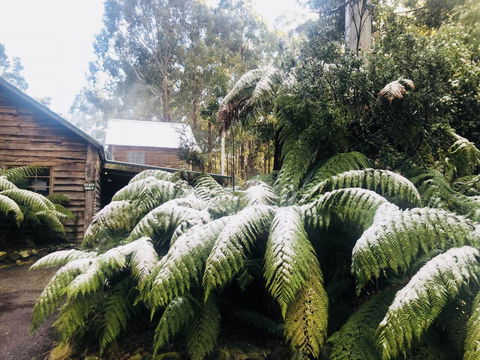 Lemonthyme Wilderness Retreat - Accommodation ACT 5