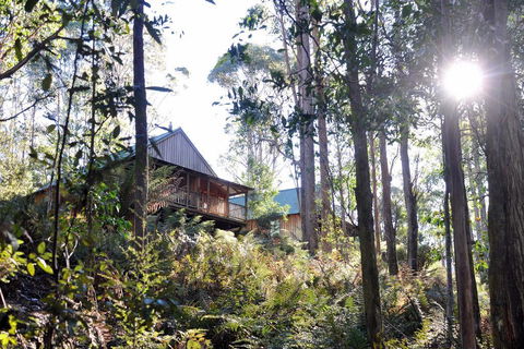 Lemonthyme Wilderness Retreat - Accommodation ACT 25