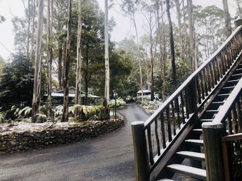 Lemonthyme Wilderness Retreat - Accommodation ACT 15