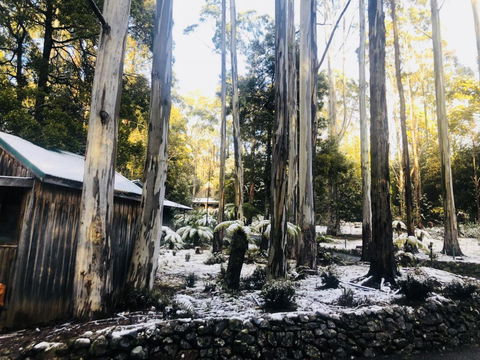 Lemonthyme Wilderness Retreat - Accommodation ACT 6
