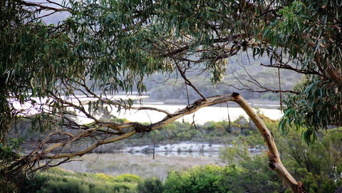 KINGFISHER COTTAGE Beachfront At The Binalong Bay - Accommodation ACT 17