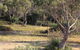 BAY OF FIRES SEACHANGE Ocean Frontage - thumb 12