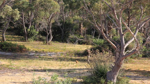 BAY OF FIRES SEACHANGE Ocean Frontage - Accommodation ACT 12