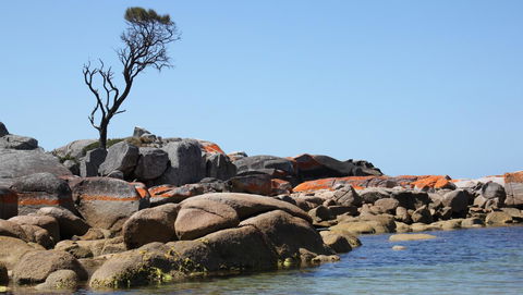 BAY OF FIRES SEACHANGE Ocean Frontage - Accommodation ACT 21