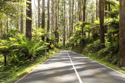 Peppers Marysville - Accommodation ACT 21