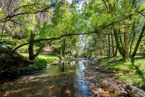 Avalon House - Accommodation ACT 7