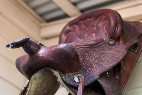 Avalon House - Accommodation ACT 20