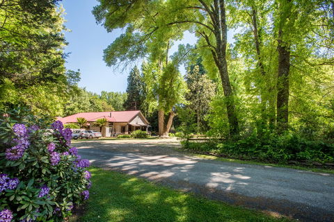 Avalon House - Accommodation ACT 0