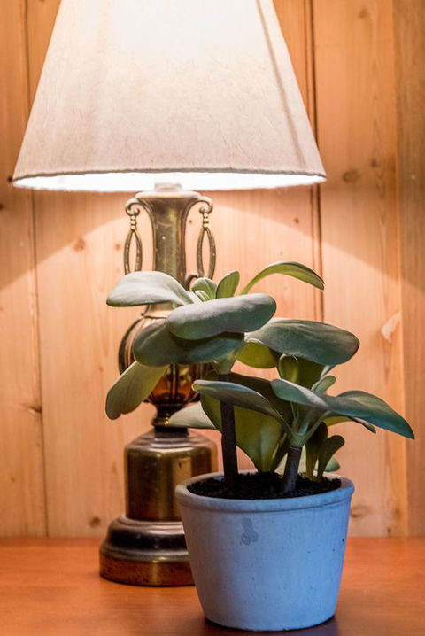 Avalon House - Accommodation ACT 41