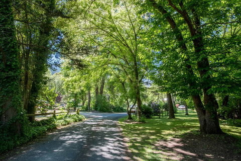 Avalon House - Accommodation ACT 23