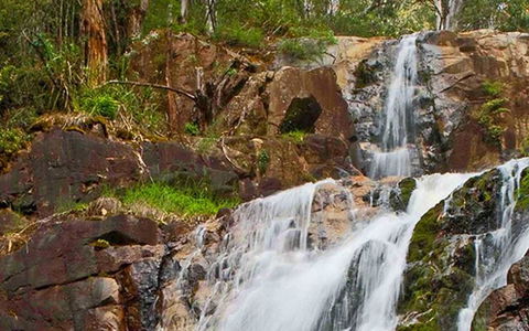 Marysville Caravan And Holiday Park - Accommodation ACT 37