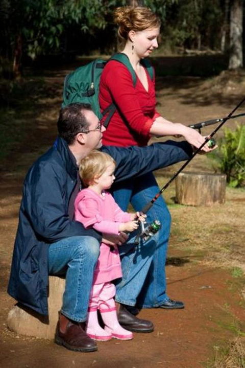 Marysville Caravan And Holiday Park - Accommodation ACT 22