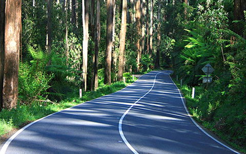 Marysville Caravan And Holiday Park - Accommodation ACT 40