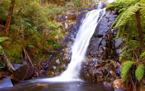 Marysville Caravan And Holiday Park - Accommodation ACT 32