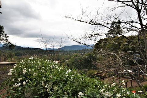 Hamptons In Healesville - Accommodation ACT 13