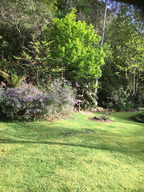 Shady Brook Cottages - Accommodation ACT 6