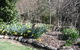 Shady Brook Cottages - thumb 8