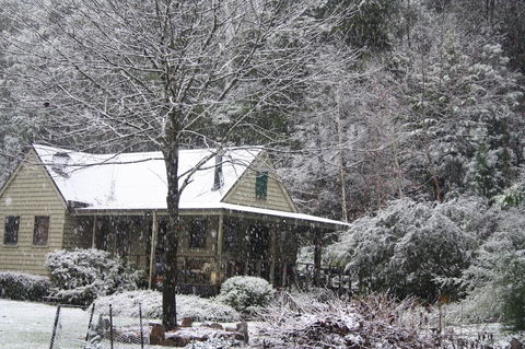 Shady Brook Cottages - Accommodation ACT 30