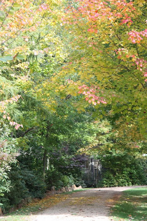 Shady Brook Cottages - Accommodation ACT 14