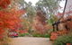 Merrimeet Cottages - thumb 5