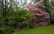 Merrimeet Cottages - thumb 23