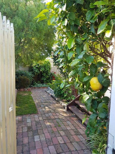 Healesville House - Fig Tree House - Accommodation ACT 17