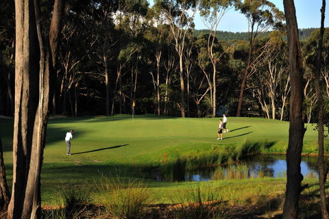 RACV Goldfields Resort - Accommodation ACT 12