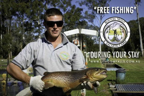 Lithgow Falls Marysville - Accommodation ACT 14