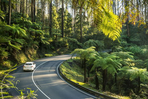 Lithgow Falls Marysville - Accommodation ACT 15