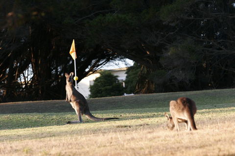 Lakeside At Mallacoota - Accommodation ACT 37