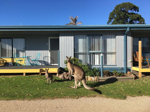 Lakeside At Mallacoota - Accommodation ACT 15