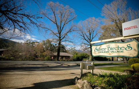 The Birch House - Silver Birches Luxury Accommodation Bright - Accommodation ACT 3