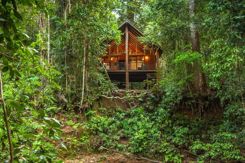 The Canopy Rainforest Treehouses & Wildlife Sanctuary - Accommodation ACT 0