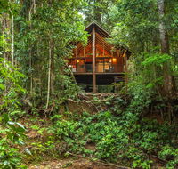 The Canopy Rainforest Treehouses  Wildlife Sanctuary - Accommodation ACT