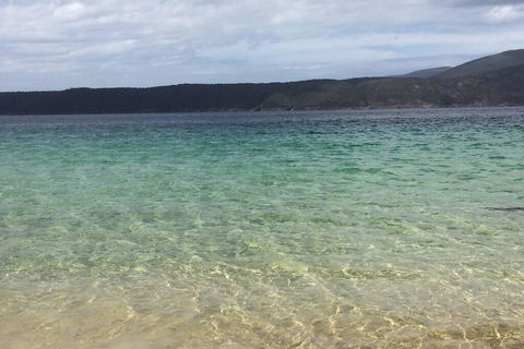 The Cove... On The Rocks At Port Arthur - Accommodation ACT 1