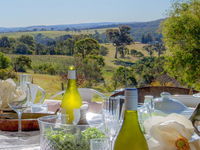 The Farmhouse - grape vines and rolling green hills