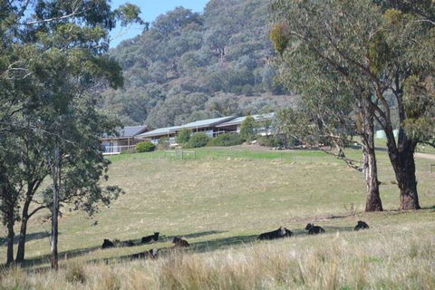 The Homestead At Holmeslgen At Eildon - Accommodation ACT 1