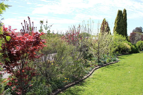 Top Of The Town Motel - Accommodation ACT 2