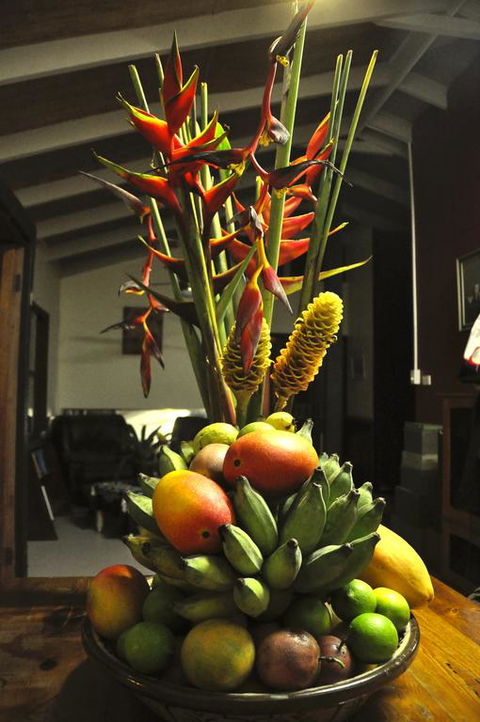 Tropical Bliss Bed And Breakfast - Accommodation ACT 3