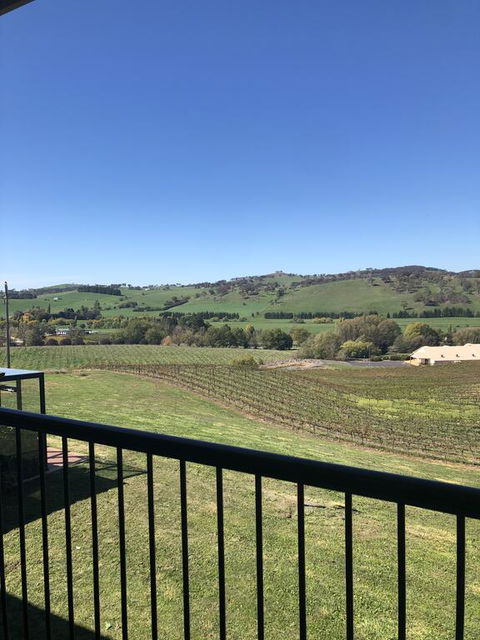 Turners Vineyard Motel - Accommodation ACT 2