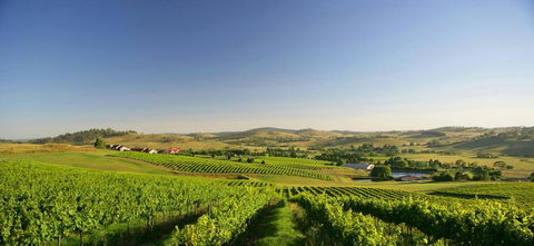 Turners Vineyard Motel - Accommodation ACT 0