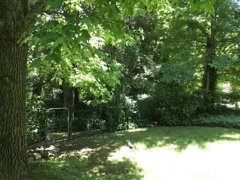 Tyntynder Garden Cottage 4 - Accommodation ACT 2