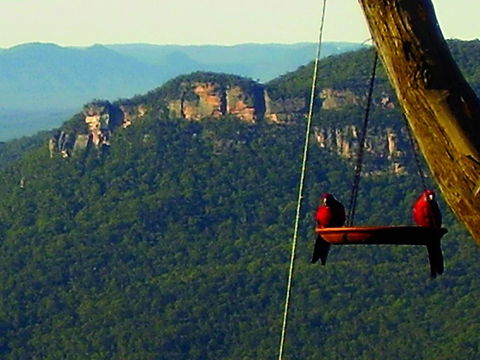 Valley Of The Waters B&B - Accommodation ACT 3