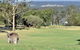 Villa 3br Beaujolais Luxe + Style Resort Condo Located Within Cypress Lakes Resort (nothing Is More Central) - thumb 1